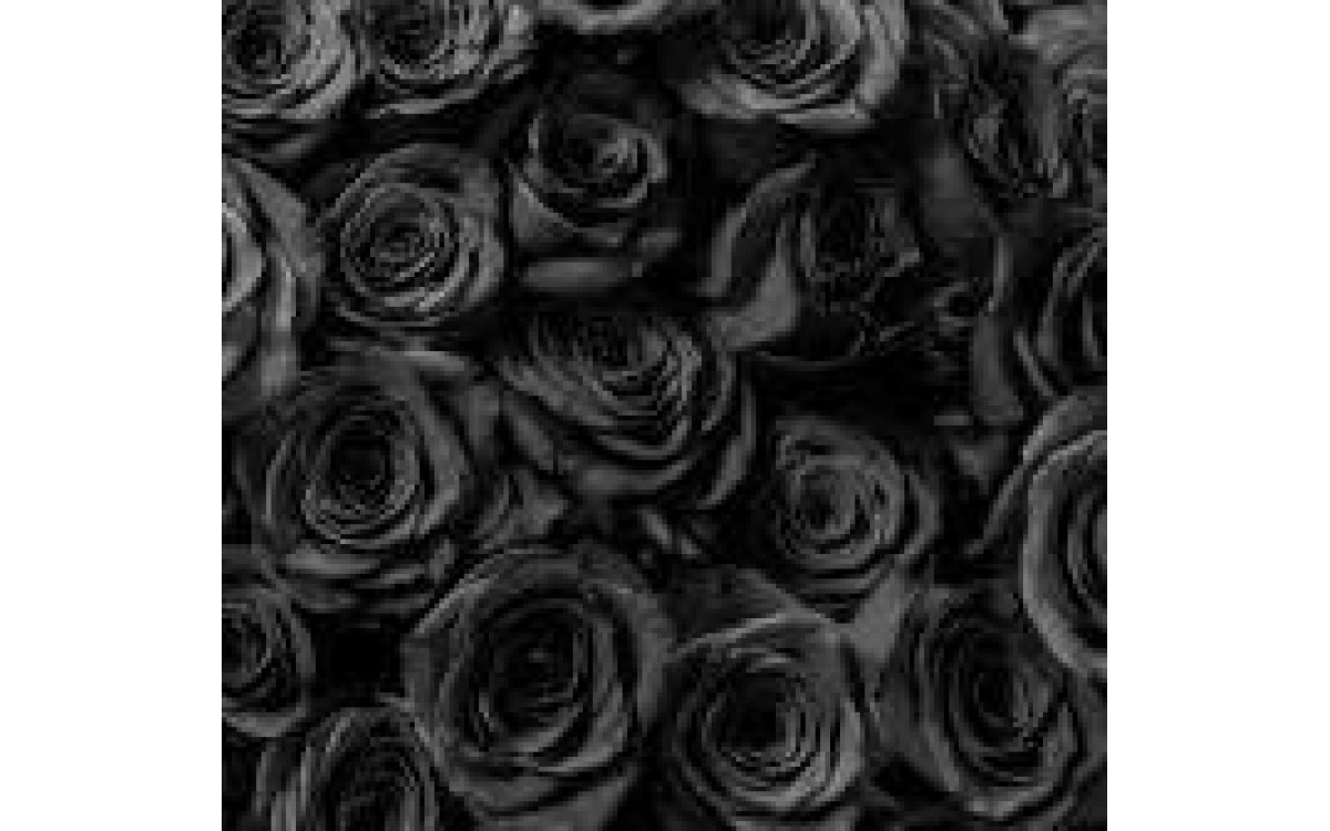 BLACK ROSES