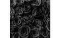 BLACK ROSES (1) BLACK ROSES (1)