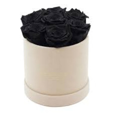 BLACK ROSES
