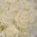 WHITE ROSES